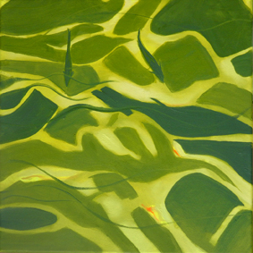 fishes, green , yellow, contrast, water