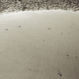 Sandfläche u Sandwellen