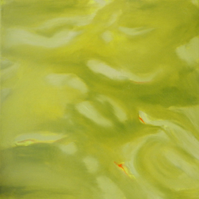 water, green, fisches, reflektion