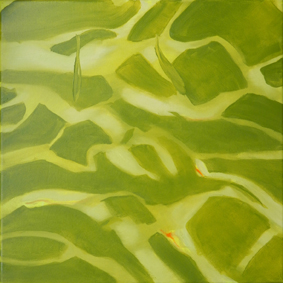 fish, reflection, green, water