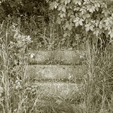 Drei Stufen
